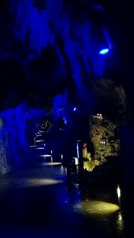 20190711_114146.jpg